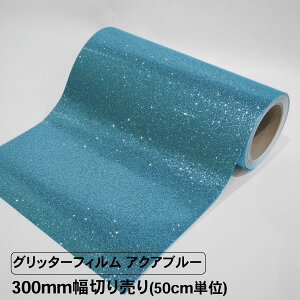 Ob^[tB ANAu[ 300mm ؂蔄 50cmP Ob^[V[g JbeBOV[g SV[g  V[ V[g tB CN   F