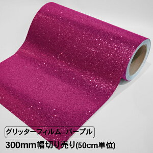 Ob^[tB p[v 300mm ؂蔄 50cmP Ob^[V[g JbeBOV[g SV[g  V[ V[g tB CN   