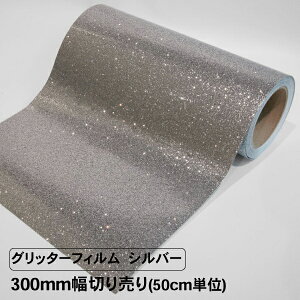 Ob^[tB Vo[ 300mm؂蔄 50cmP Ob^[V[g JbeBOV[g SV[g  V[ V[g tB CN   