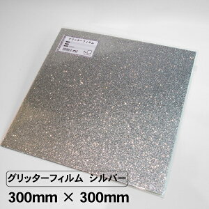 Ob^[tB Vo[ 300mm×300mm Ob^[V[g JbeBOV[g SV[g  V[ V[g tB CN   