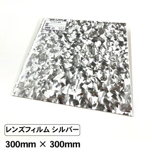 YtB 300mm×300mm V[g JbeBOV[g SV[g V[ V[g tB CN  RT[g Cu   Vo[  sN u[ F