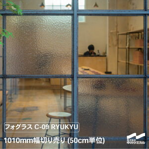 ډBV[g AeB[N tHOX C-09 RYUKYU 1010mm 50cmP ؂蔄 P~J g SV[g  V[g KX tB JbeBOV[g ₷