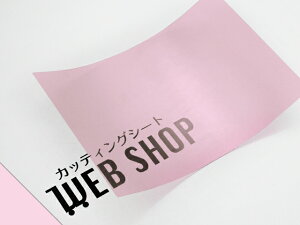 IROMIZU 03-25ic A4TCY P~J  V[g z͌^ S͌^ C~Y sN