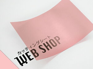 IROMIZU 07-25c A4TCY P~J  V[g z͌^ S͌^ C~Y