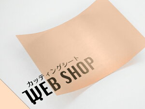 IROMIZU 11-25ic A4TCY P~J  V[g z͌^ S͌^ C~Y IW