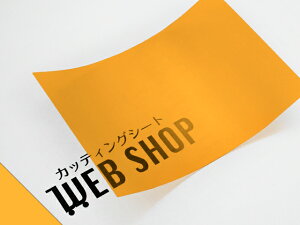 IROMIZU 14-100ic A4TCY P~J  V[g z͌^ S͌^ C~Y