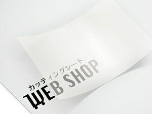 IROMIZU W-100ic A4TCY P~J  V[g z͌^ S͌^ C~Y