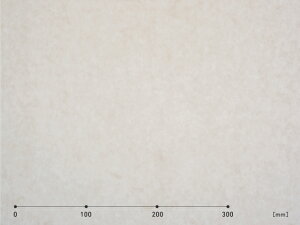 P~J }eI aV[g WS-031n ^1010mm×50cmPʁi؂蔄j