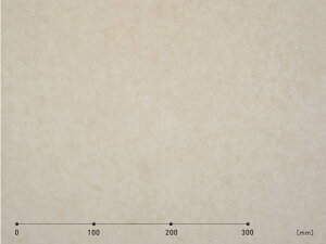 P~J }eI aV[g WS-032n ^1010mm×50cmPʁi؂蔄j