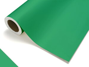 P~J ^tJ ^Cv 7405CM WF[hO[^1010mm×50cmPʁi؂蔄j