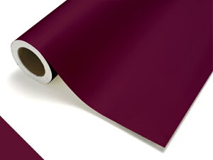 P~J ^tJ ^Cv S4634C Yx[bh^1010mm×50cmPʁi؂蔄j