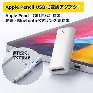 C.WEST Apple Pencil ��1���� �p �[�d�E�y�A�����O�ϊ��A�_�v�^�[ USB Type-C �� Lightning iPad ��10���� / iPad Air / iPad Pro �Ή� ���}���p ���^ �y��