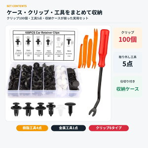�ԗp�N���b�v 100�Z�b�g 6��� ������N���b�v �v�b�V�����x�b�g �o���p�[�N���b�v ���e�[�i�[ �t�@�X�i�[ �N���b�v�O�� ������͂��� �H��5�_ ���[�P�[�X�t�� ������ ���� �O�� ��C DIY xua