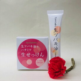 ギフト『Aセット』サラッとしたつけごこち！伊豆大島の生ツバキ油配合の「ハンドクリームチューブ20g」と生ツバキ油と蜂蜜を練り込んだ「手作り石けん」の組合わせです。ラッピング付き　1600