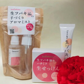 ギフト【 送料無料 】ミスト入りコスメセット 「手作りミスト 」「 ハンドクリームチューブ 20g 」「 手作り石けん 」 椿 ハンドクリーム 石鹸 生椿油 椿オイル ミストツバキオイル 石けん 携帯用 つばき油 ツバキ油 ボディケア ギフト 贈り物 プレゼント