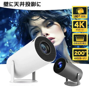 �v���W�F�N�^�[ ���^ �ƒ�p Android TV 11.0 12000LM 2.4/5G �Z�������e �v���W�F�N�^�[ ������`�␳ 5.2 �V�䓊�e 4K�r�f�I�ɓK������ HDMI�P�[�u���E�����R���t�� ��l��炵