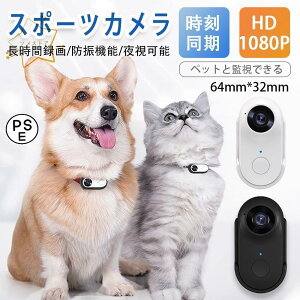 ���i�摜