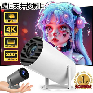 �v���W�F�N�^�[ ���^ �ƒ�p Android TV 11.0 12000LM 2.4/5G Wi-Fi�Ή� Bluetooth 5.2 �V�䓊�e 4K�r�f�I�ɓK������ HDMI�P�[�u���E�����R���t��
