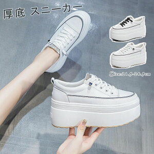 21.5cm�`24.5cm �{�v ���[�X�A�b�v �V���[�Y �C���q�[�� �� ���� �X�j�[�J�[ �������� �X�j�[�J�[ �C �҂ݏグ �V���[�Y ���f�B�[�X ���f�B�[�X �傫���T�C�Y �����₷�� �� ���Ȃ��C ���� ��