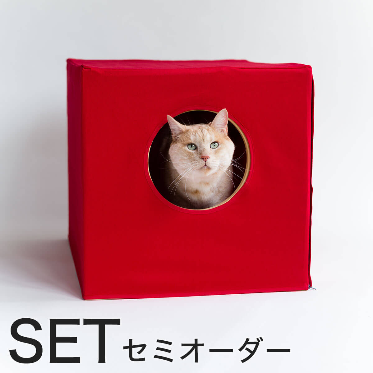 猫 トイレ カバー 猫蔵 セミオーダー 木の本体と消臭カバー セット 受注生産 | 猫用品の通販nekozuki（ねこずき）