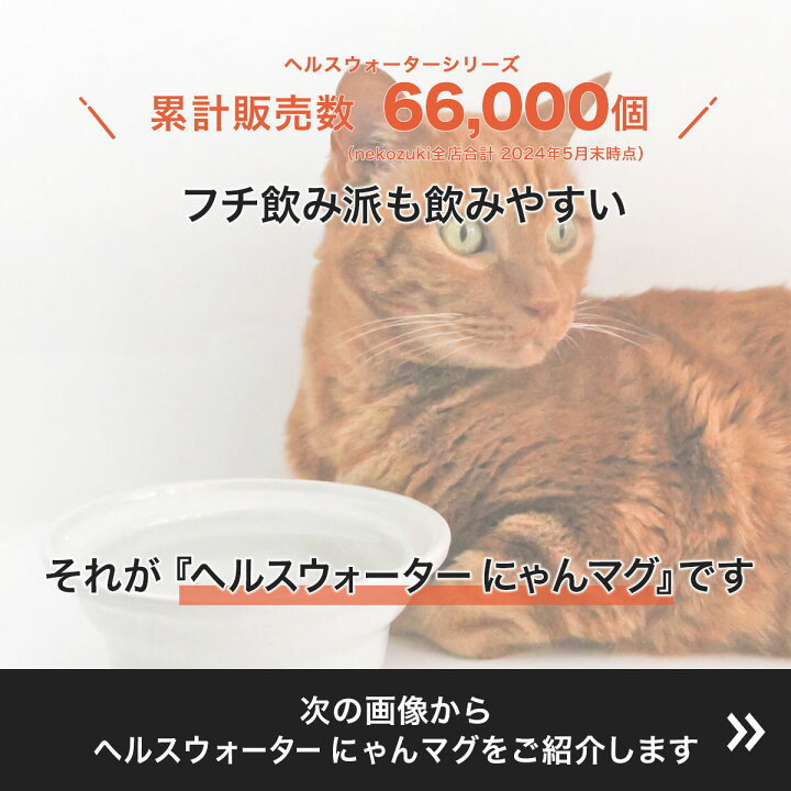 楽天市場】ヘルスウォーター にゃんマグ 食器 猫 ボウル 水飲み 水を 