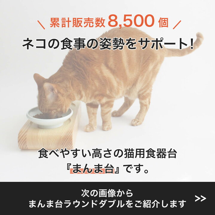 楽天市場】食器台 猫 まんま台 餌台 ラウンドROUND ダブル ひっくり 