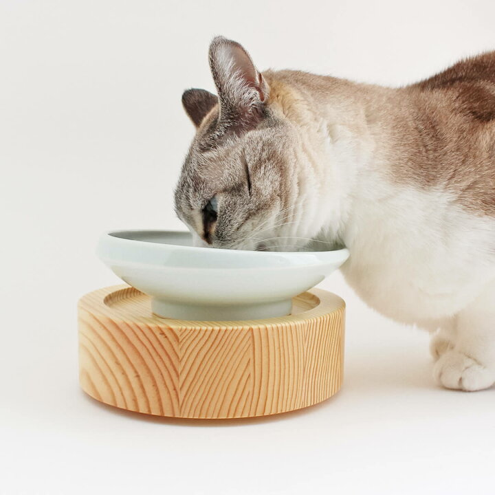 楽天市場】食器 猫 餌皿 まんまボウル フード用M 水飲み用 磁器 2点 