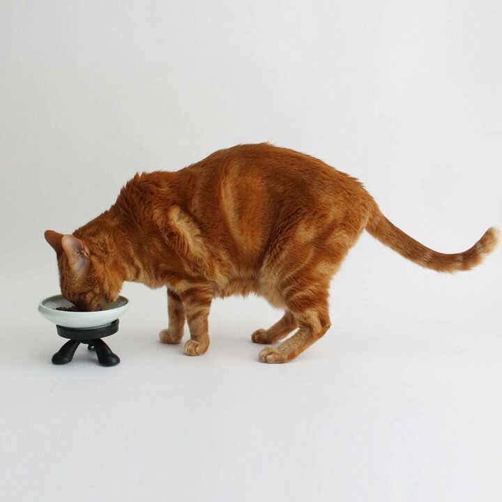 楽天市場】食器台 猫 食べやすい [介護用まんま台南部鉄器] 専用 餌台