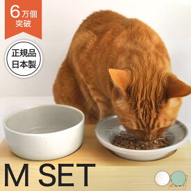 食器 猫 餌皿 ヘルスウォーター ボウル M フードボウル M セット 送料無料 陶器 水飲み 水入れ 水をよく飲む器 水飲み器 水 皿 水分補給 ひっくり返らない 倒れない こぼれない 子猫 シニア 国産 オーカッツ