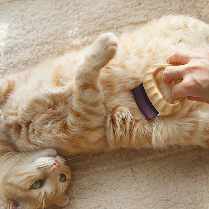 楽天市場 グルーミング 猫 ブラシ ピロコーム やわらかめ E1 猫用品の通販nekozuki ねこずき 楽天市場 グルーミング 猫 ブラシ ピロコーム やわらかめ E1 猫用品の通販nekozuki ねこずき