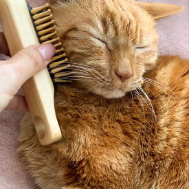 猫 マッサージブラシ ワンダフルブラシ 竹ピン 木製 ねこ ブラッシング
