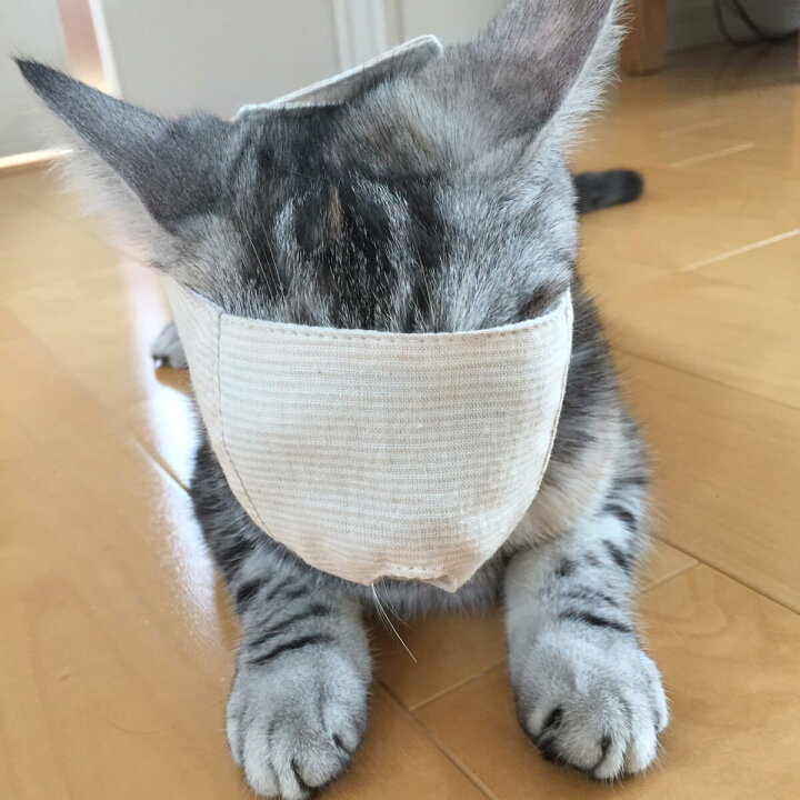楽天市場】【BSテレ東で紹介】爪切り補助具 もふもふマスク 猫 マスク : 猫用品の通販nekozuki(ねこずき) 楽天市場】【BSテレ東で紹介】爪切り補助具 もふもふマスク 猫 マスク : 猫用品の通販nekozuki(ねこずき)
