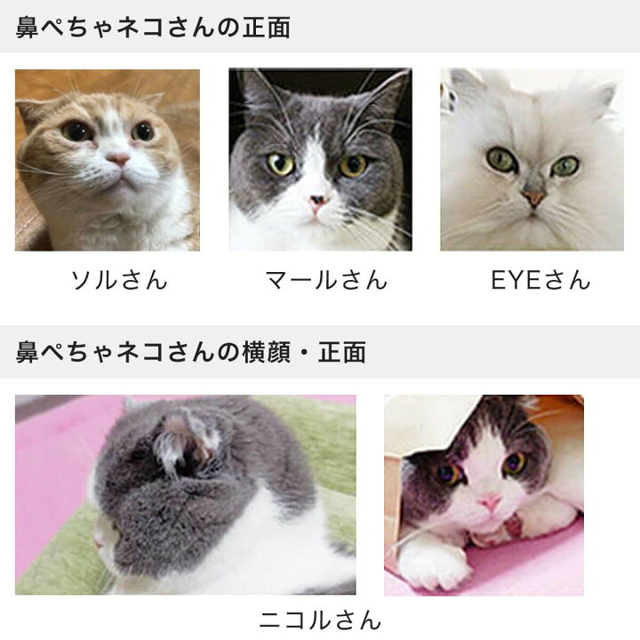 楽天市場 Bsテレ東で紹介 爪切り補助具 もふもふマスク 猫 マスク 一部予約 3月下旬 4月下旬頃発送 猫用品の通販nekozuki ねこ ずき