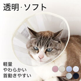 楽天市場 エリザベスカラー 猫の通販