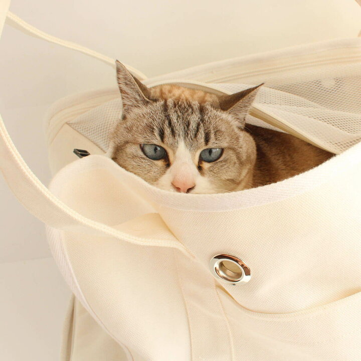 楽天市場】猫 キャリーバッグ ねこずきなトート ペットキャリー 避難 