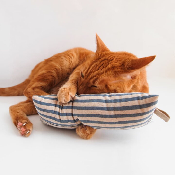 楽天市場 日本製 猫 おもちゃ ねこずき けりけり 猫用品の通販nekozuki ねこずき 楽天市場 日本製 猫 おもちゃ ねこずき けりけり 猫用品の通販nekozuki ねこずき