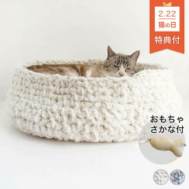 楽天市場 マンチカン 子猫 画像の通販