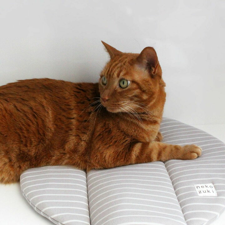 マット 猫 ベッド ぽかぽかマット POCKET winter(ボーダー) 日本製 猫用品の通販nekozuki(ねこずき) 「ネコポス送料無料」「温灸器用ペット」釜屋もぐさ カマヤペットスペア x2個