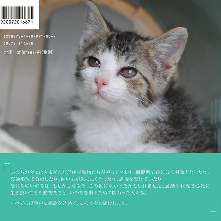 楽天市場 写真集 動物いのちの会いわて 猫 本 猫用品の通販nekozuki ねこずき