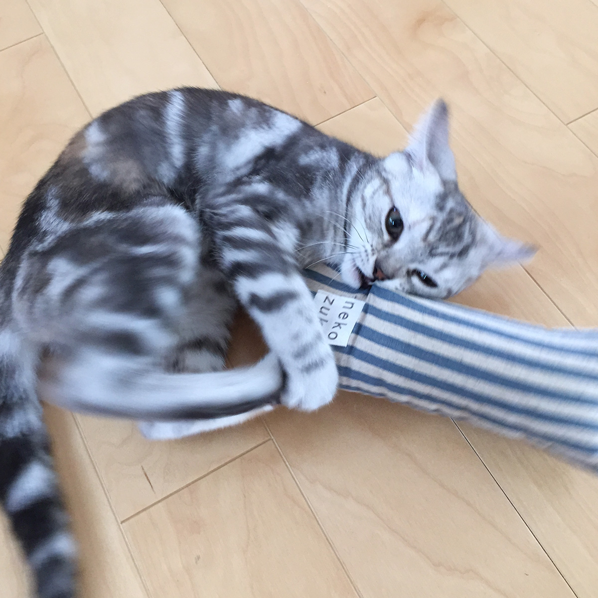 猫 おもちゃ 子猫用 こねこ けりけり ストライプ 一人遊び 日本製 またたび不使用 おもちゃ