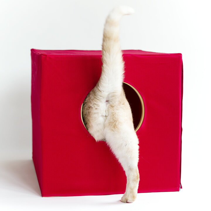 楽天市場】猫 トイレ カバー 猫蔵 セミオーダー 木の本体と消臭カバー  