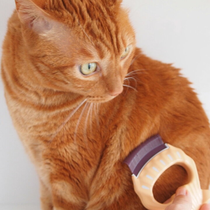 楽天市場 グルーミング 猫 ブラシ ピロコーム ながめ 長毛用 猫用品の通販nekozuki ねこずき