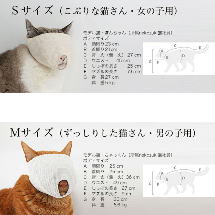 楽天市場 点眼 補助具 目だしマスク 猫 マスク 猫用品の通販nekozuki ねこずき