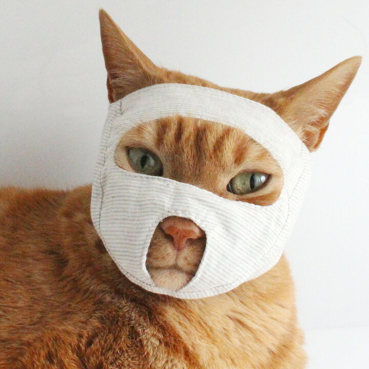 楽天市場 点眼 補助具 目だしマスク 猫 マスク 猫用品の通販nekozuki ねこずき