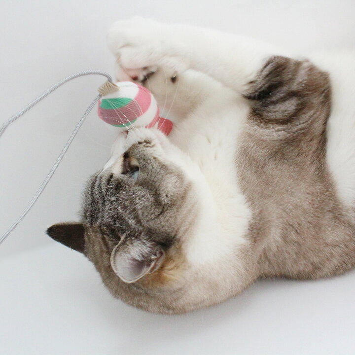 楽天市場】日本製 猫 おもちゃ 5点セット みかづきけりけり付 福袋 ボール ぬいぐるみ さかな ねずみ ギフト : 猫 用品の通販nekozuki（ねこずき）