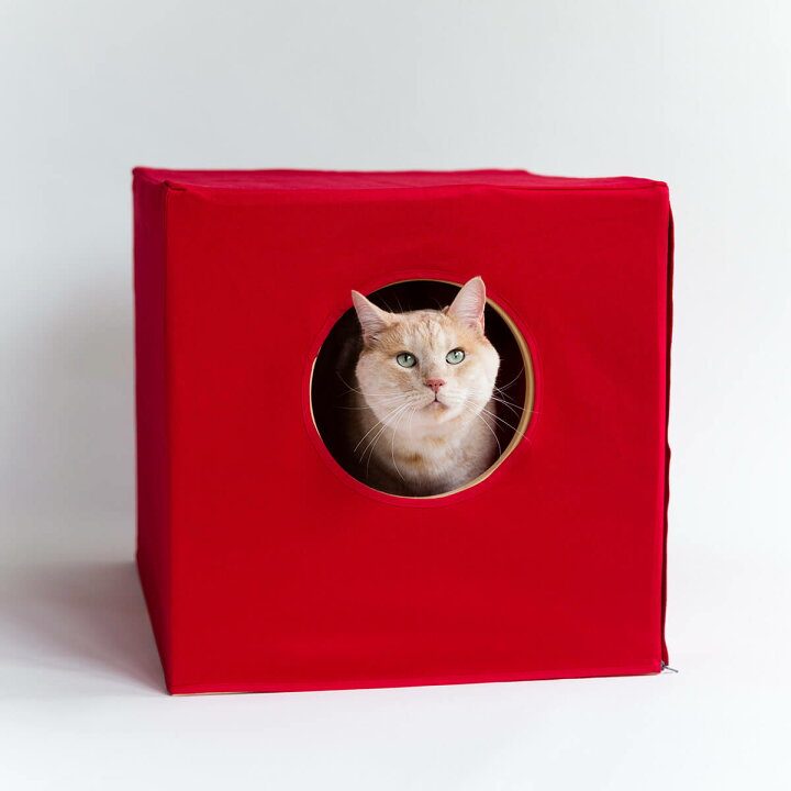 楽天市場】猫 トイレ カバー 猫蔵 セミオーダー 木の本体と消臭カバー  