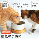 猫が水をよく飲む 猫 水飲み器 [ヘルスウォーター ボウル M] 水入れ 食器 水飲み 陶器 水 皿 水分補給 水皿 水入れ器 ひっくり返らない 倒れない こぼれない 洗いやすい シンプル 子猫 シニア 日本製 国産 獣医推薦 オーカッツ aukatz セラミック ペット用食器 猫用 ペット