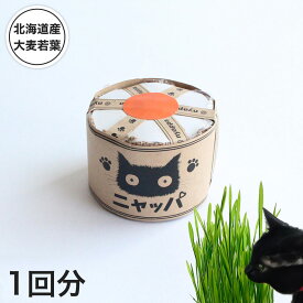猫草ミニセット ニャッパ 1回分 猫用 国産・有機栽培 北海道産種と土・無農薬室内栽培キット 毛玉ケアも安心
