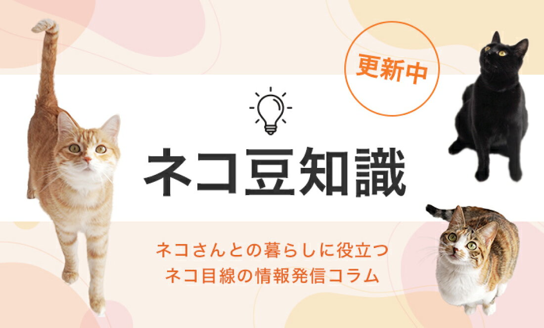 楽天市場 | 猫用品の通販nekozuki（ねこずき） - nekozuki（ねこずき 