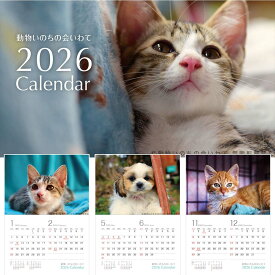 保護猫 支援付き 猫 犬 [動物いのちの会いわて カレンダー 2026 卓上 壁掛け] 売上の一部が寄付に 癒やされる写真 表情がかわいい チャリティー 保護猫 保護犬 2026年 日曜始まり メール便 ネコポス 動物 犬 写真 ネコ イヌ かわいい 猫カレンダー ペット 卓上タイプ